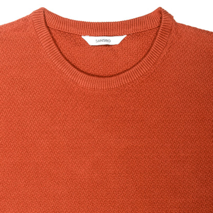 Men Crew Neck orange T-Shirt